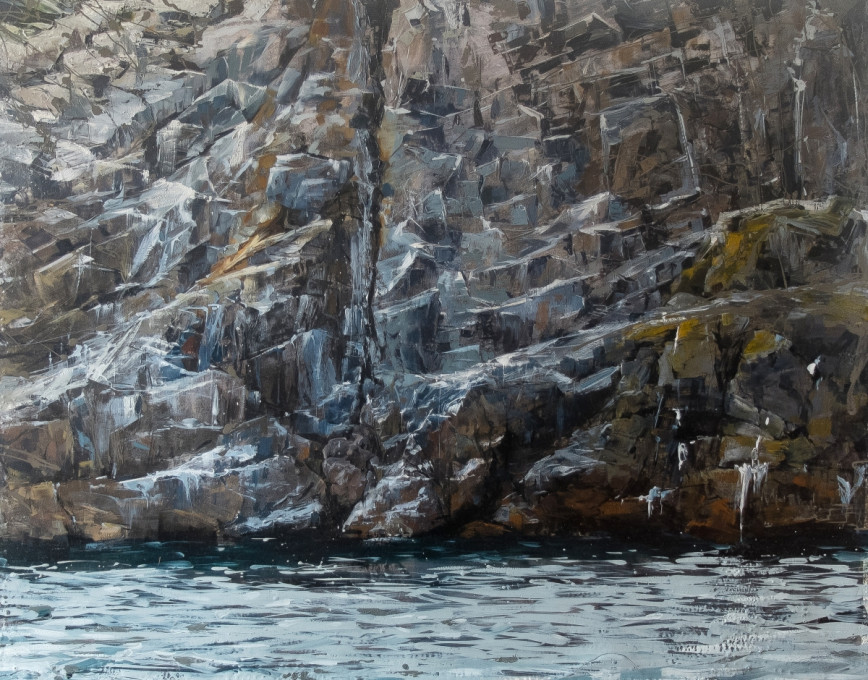 Falaise aux oiseaux de Saint-Riom (disponible à la vente)