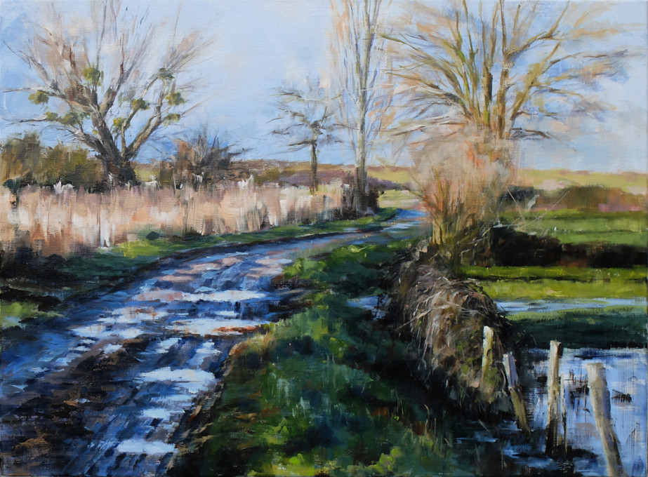 Après la pluie (disponible à la vente)