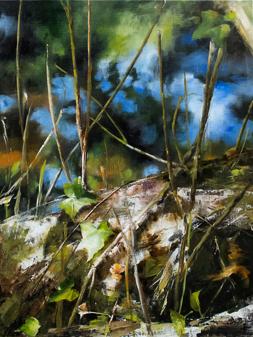 Nature 01 (disponible à la vente)